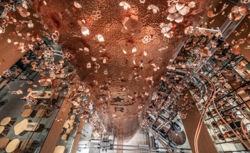 carimbo-starbucks-arquitetura